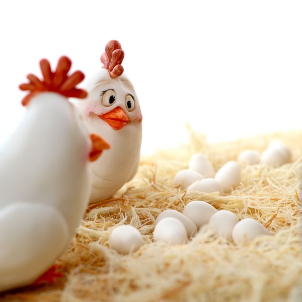 תרנגולת הומוריסטית מפוסלת בבצק סוכר