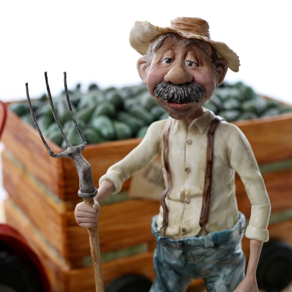 פנים של חקלאי הומוריסטי מפוסלים בבצק סוכר